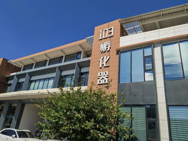 知识产权